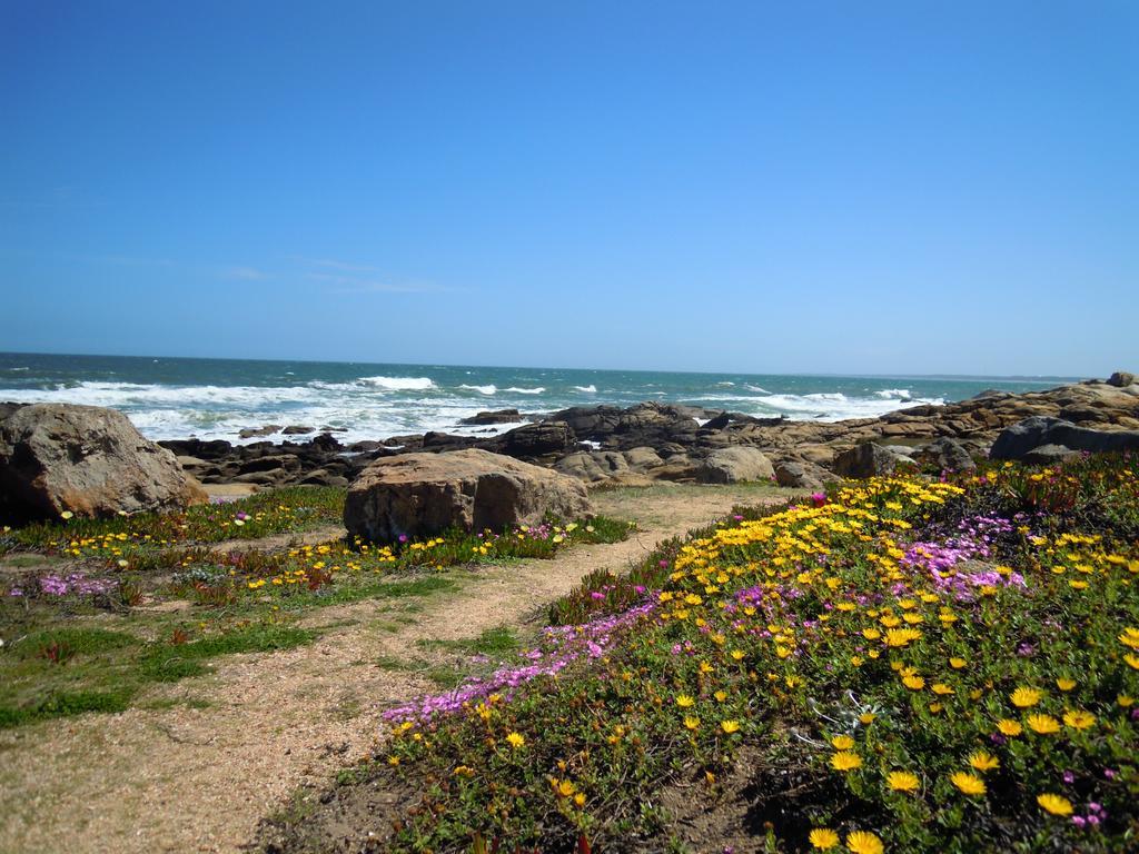 La Atrevida Bed and Breakfast José Ignacio Exteriör bild